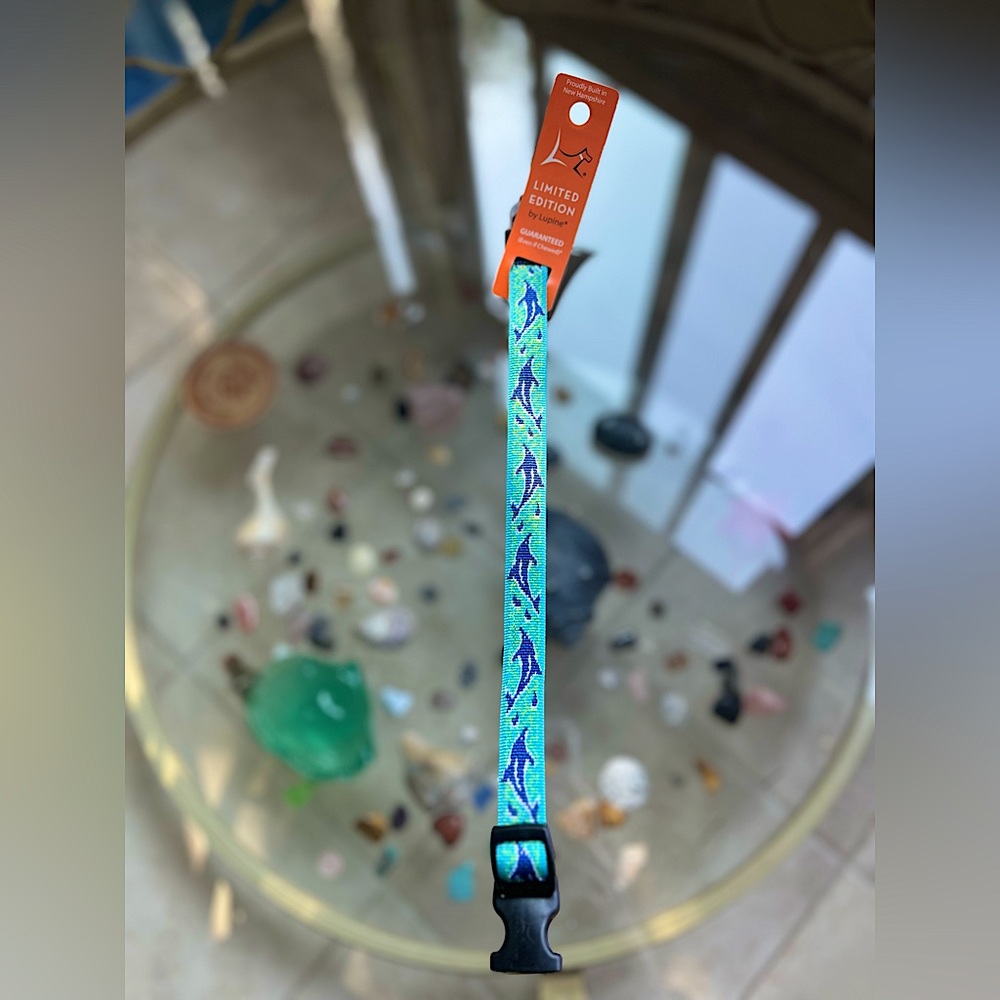 🐬 Limited Edition 🐬- Lupine Pet Dolphin Bay 9”-14” Dog Collar NWT